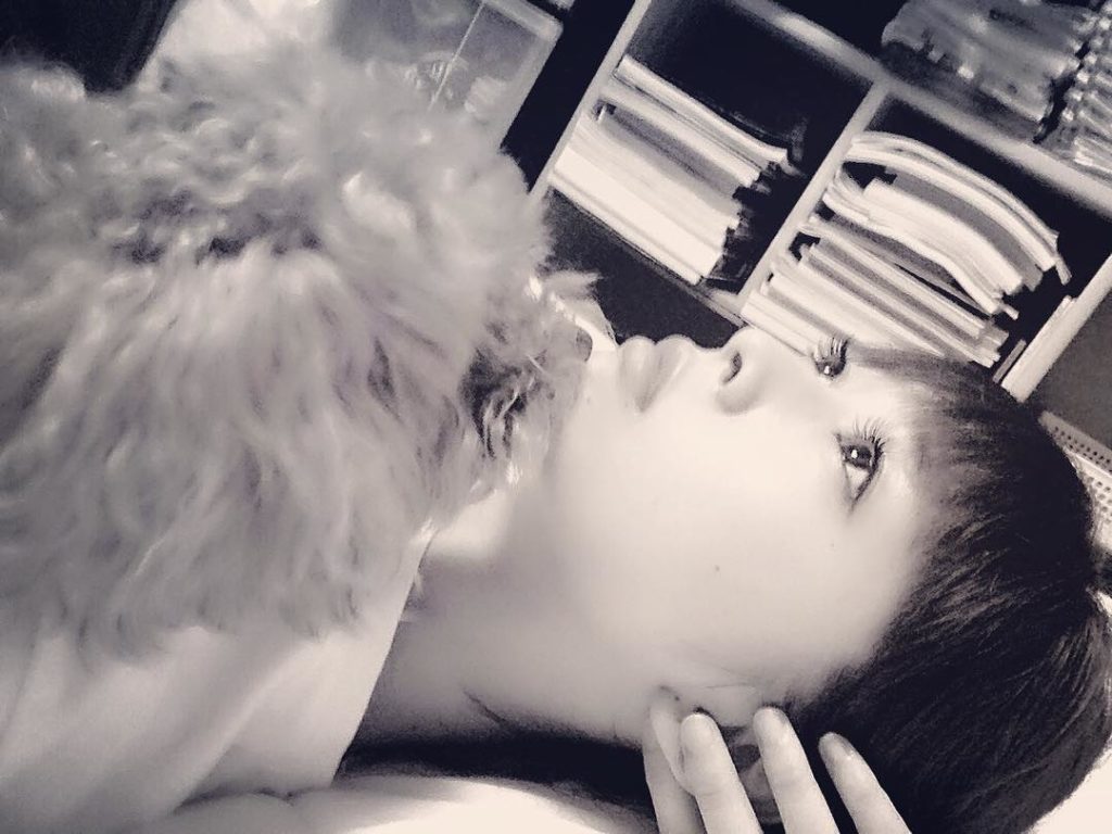 癒し犬 Moe Zine 癒し犬 Moe Zine