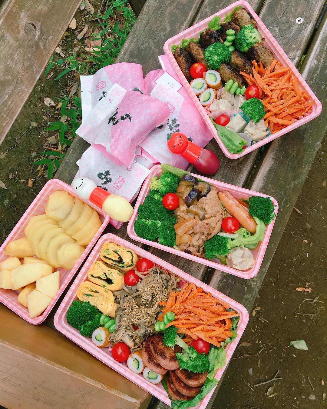 池上紗理依 この間お弁当作って 友達とピクニックみたいのしてきた ハンバーグ焦げた Moe Zine