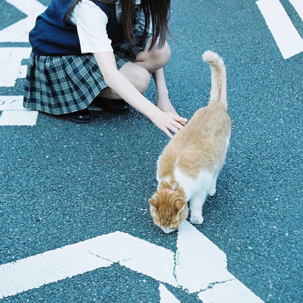 唐田えりか 猫大好き 猫カフェにも行っちゃうくらい でも猫アレルギーです Film Cat Moe Zine