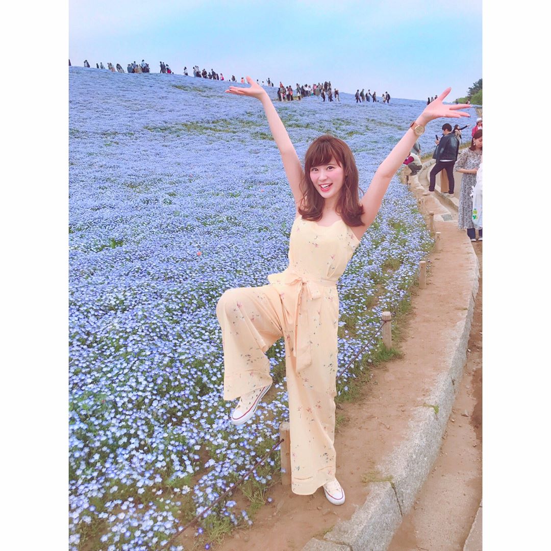 伊藤奈月 今さっき ネモフィラ ブルー きれい 即 載せる とりあえず 楽しそうなやつ ネモフィラ ネモフィラ畑 お花畑 Flower みは Moe Zine