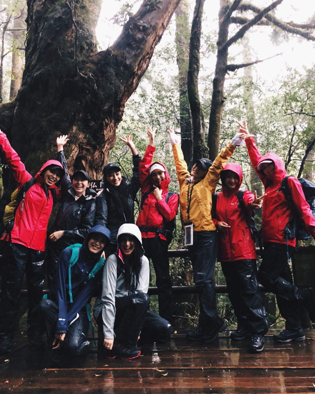 谷まりあ 屋久島に来てます雨の中でも自然の偉大さを感じれて幸せ 大きな深呼吸をたくさんしちゃいました Naturalbeautycamp ナチュラルビューティーキャン Moe Zine