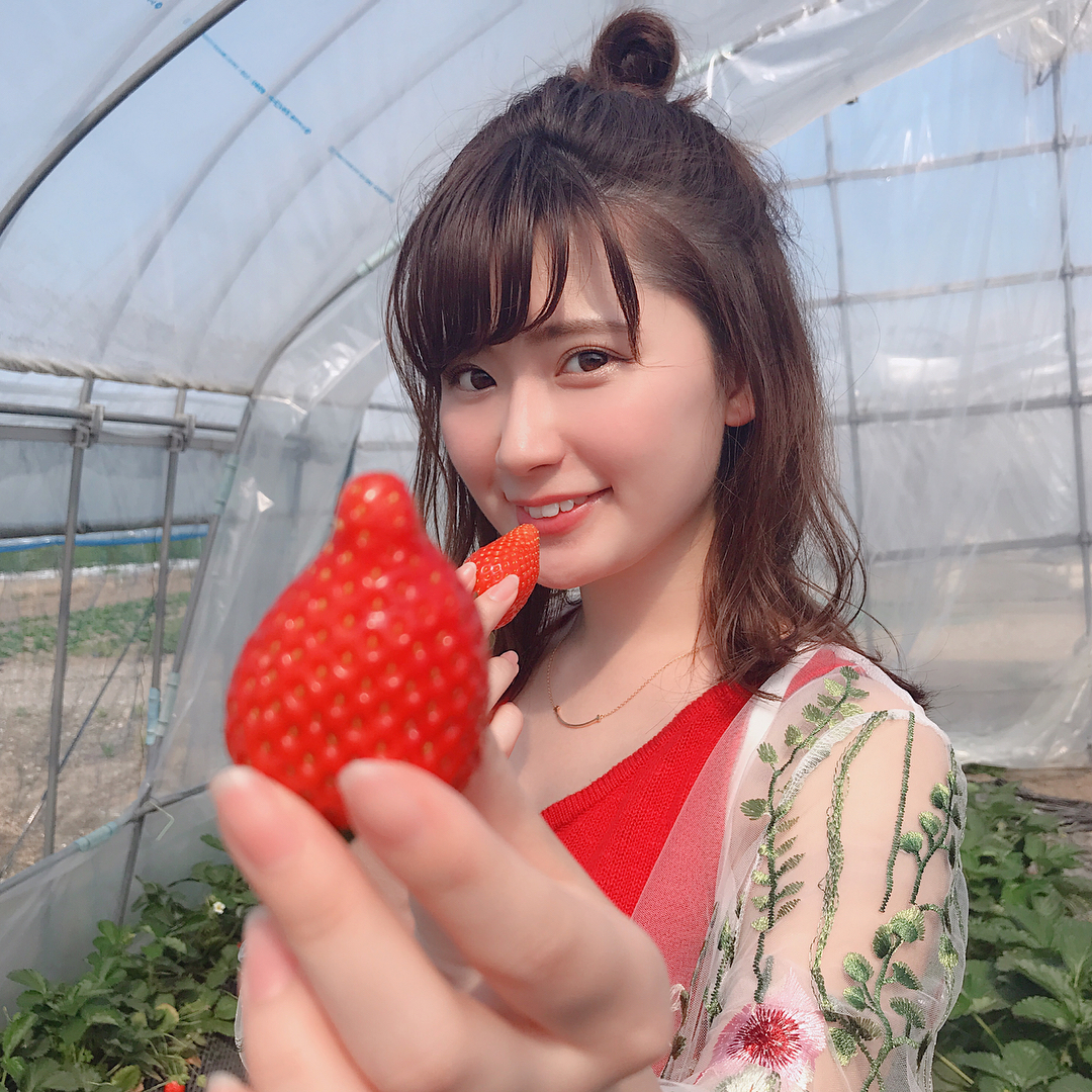 伊藤奈月 はい あ ん 的な図 いちご狩り イチゴ狩り いちご イチゴ 苺 Strawberry 農園 ビニールハウス い Moe Zine 伊藤奈月 はい あ ん 的な図 いちご狩り イチゴ狩り いちご イチゴ 苺 Strawberry 農園 ビニールハウス い Moe Zine