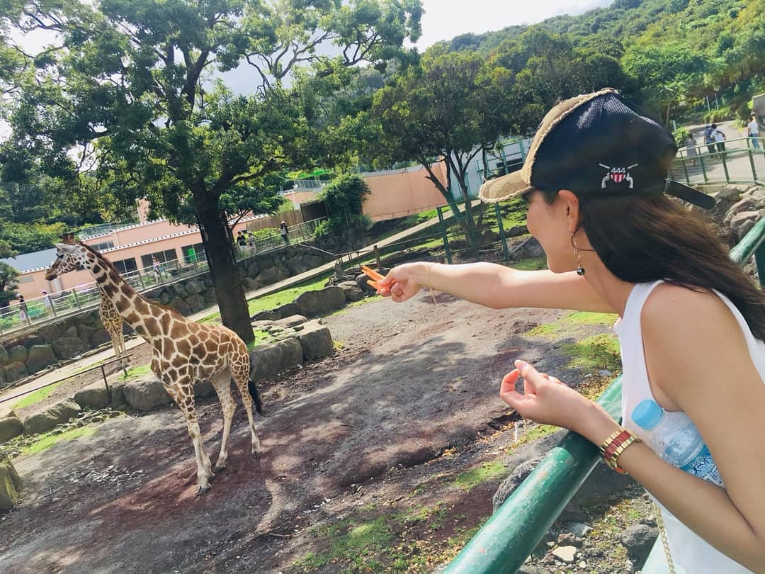 森園れん おーい きりーん 人参だよー 気づいてもらえず おっ きたーーー くったーーーーーーー 淡路島で猿に餌 を上げてから動物の餌やり Moe Zine 森園れん おーい きりーん 人参だよー 気づいてもらえず おっ きたーーー くったーーーーーーー 淡路島で猿に餌 を上げてから動物の餌やり Moe Zine