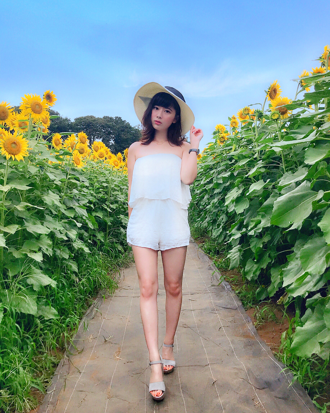 伊藤奈月 花道 ひまわり畑って 白コーデ に 麦わら帽子のイメージ ひまわり ひまわり畑 向日葵 清瀬ひまわりフェスティバル お花畑 Moe Zine 伊藤奈月 花道 ひまわり畑って 白コーデ に 麦わら帽子のイメージ ひまわり ひまわり畑 向日葵 清瀬ひまわりフェスティバル お花畑 Moe Zine