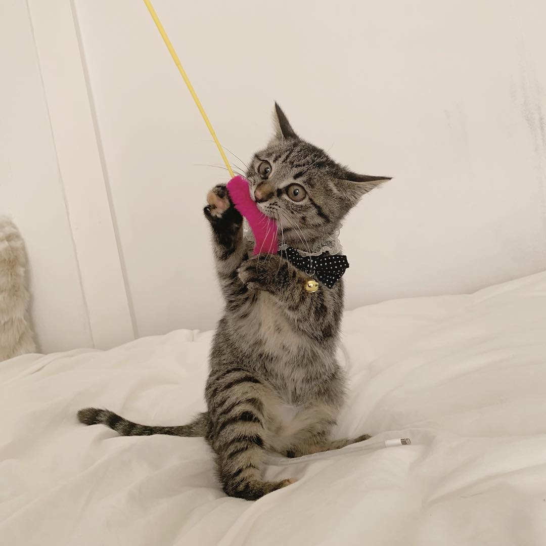 木村なつみ 君可愛いね Moe Zine