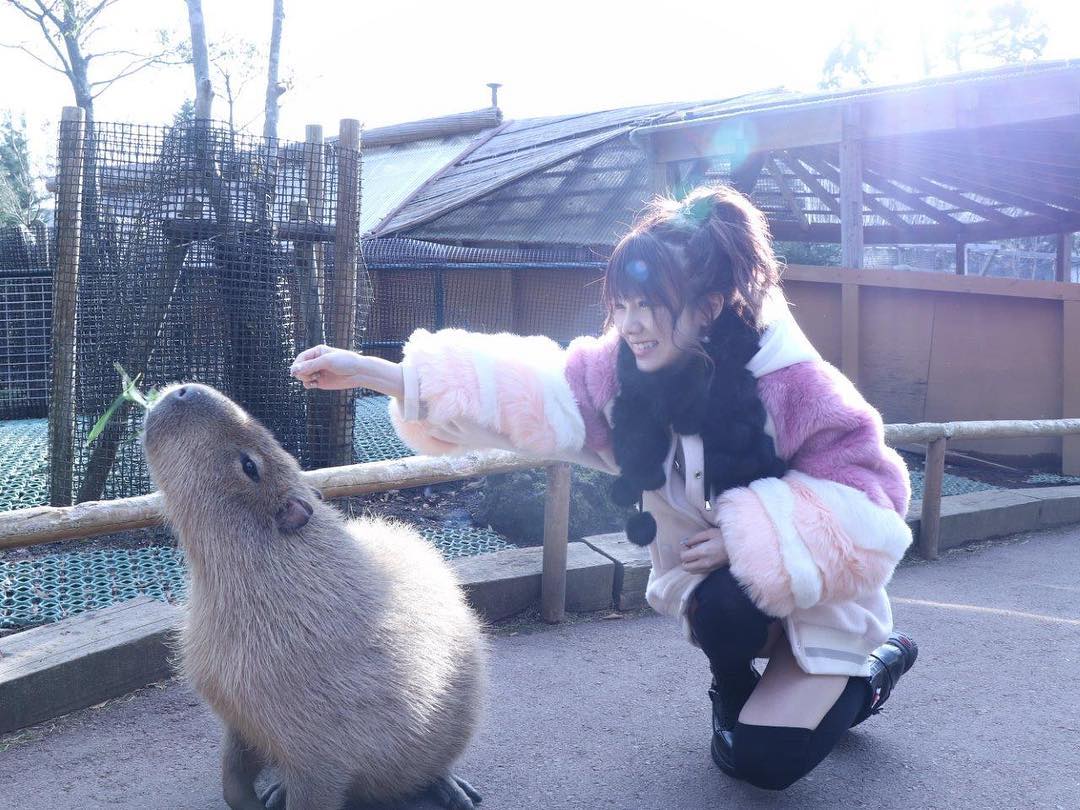 田中れいな 顔は笑顔なのに動物から 距離をとる私 この子は カピバラっけ カピバラ 多分 カピバラ 違ったらご Moe Zine