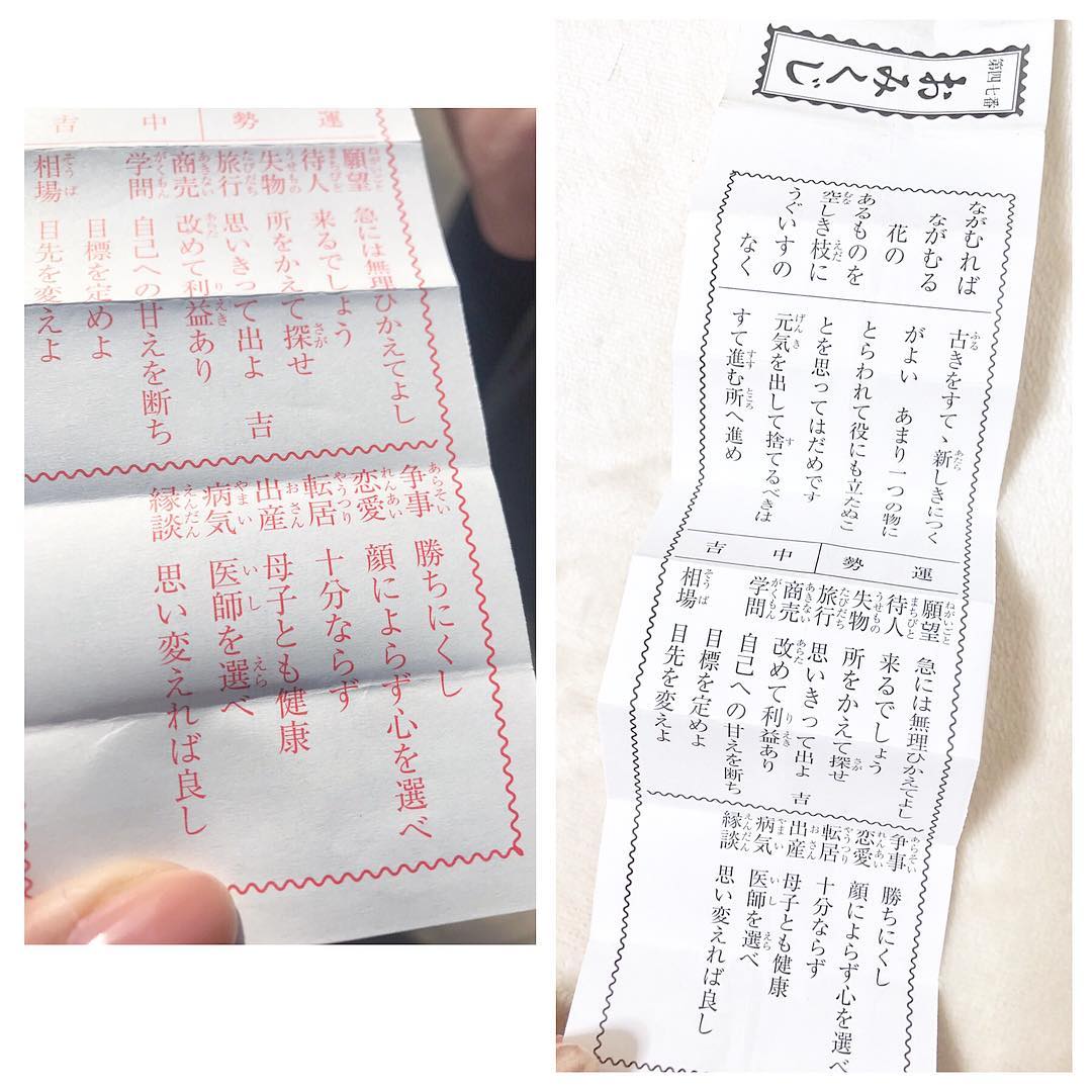 浦野一美 えんむすびの木 河津桜 を見たくて 桜神宮に行ってきました 前日まで咲いていたという河津桜は思わぬ強風と雨ですっかり花弁が無くなってしまっていたけれど Moe Zine