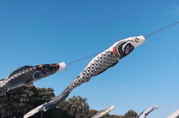 ㅤㅤㅤㅤㅤㅤㅤㅤㅤㅤㅤㅤㅤ
ㅤㅤㅤㅤㅤㅤㅤㅤㅤㅤㅤㅤㅤ
こどもの日 
ㅤㅤㅤㅤㅤㅤㅤㅤㅤㅤㅤㅤㅤ
ㅤㅤㅤㅤㅤㅤㅤㅤㅤㅤㅤㅤㅤ
明日でGW終わる...
ㅤㅤㅤㅤㅤ...