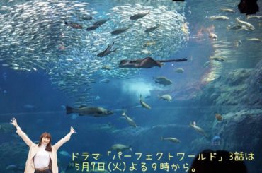 ドラマ「パーフェクトワールド」3話は明日よる9時からです！
(20分拡大！) #パーフェクトワールド
#パフェ
#川奈つぐみ
#つぐみファッション
#山本美月
...