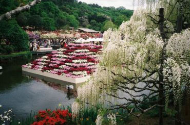 _ 
令和もよろしくお願い致します

#film
#filmcamera 
#あしかがフラワーパーク 
#gw
#令和元年

#令和 初日のロケも無事におわりま...