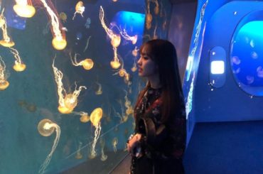 海月

#新江ノ島水族館 
#おでかけ 
#はるなの毎日 
#飯窪ってる...