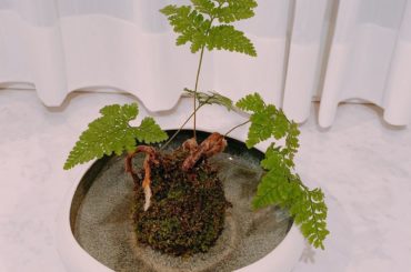 令和元年5月1日
ひとりひとりが大切にされる
平和な時代になりますように。...