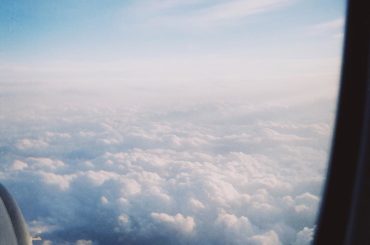 丸まってる猫だと思って近づいたらただのシミだったんだけどこれは初めてのパターンだな......