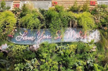 *
*
*
Cha Cha Matcha
*
カフェの外にある壁︎
*
#la #losangeles #cafe #losangelescafe #match...