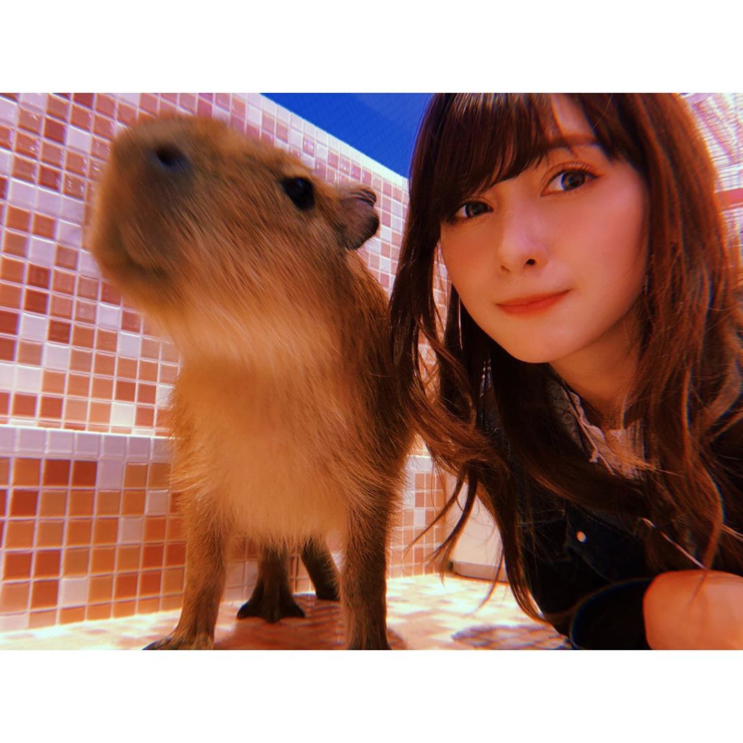 アンジェラ芽衣 可愛い可愛いカピさん アンジェラ芽衣 自撮り Selfie Selfie 写真 Photo カピバラ カピバラって言いづらいよね カピパ Moe Zine アンジェラ芽衣 可愛い可愛いカピさん アンジェラ芽衣 自撮り Selfie Selfie 写真 Photo カピバラ カピバラって言いづらいよね カピパ Moe Zine