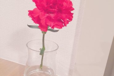 **
Mother's Day

息子が生まれて、はじめての母の日でした。
カーネーションもらう側かぁ。こんなに嬉しいものなんですね
まだまだ未熟な母ですが、こ...