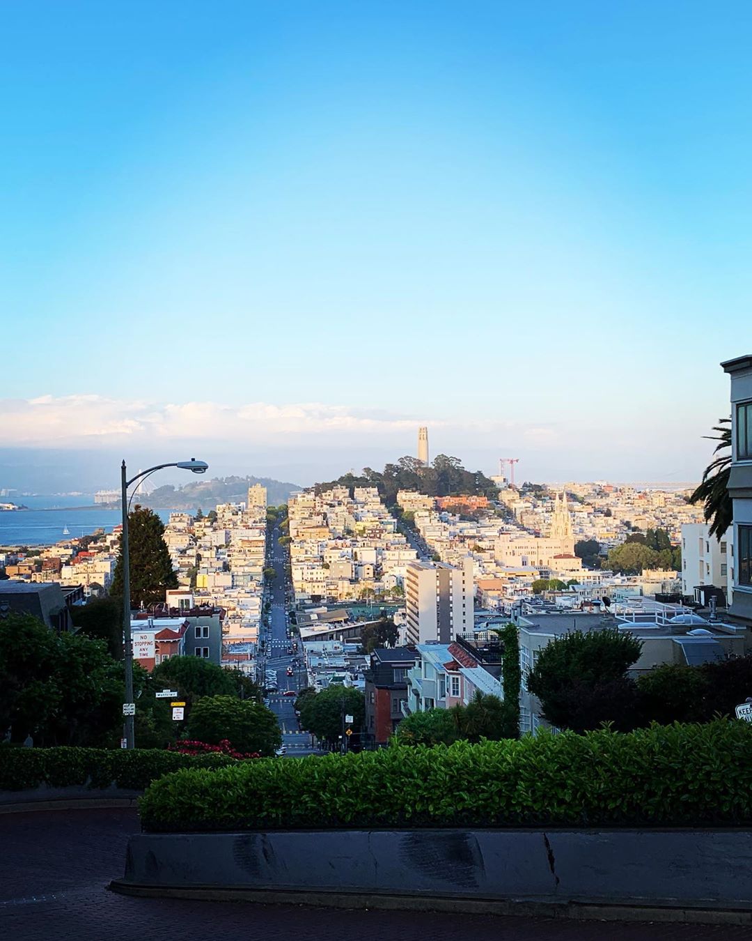 平野綾 暫く海岸をお散歩して 街中へ サンフランシスコは坂道が有名らしく ここ登れるの ってくらい心臓ぶち破る坂がたくさん 日本でいう いろは坂のよう Moe Zine