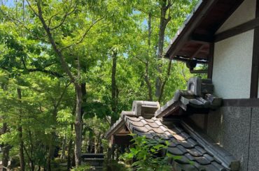 大分の別府！...