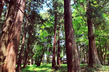 自然の写真って見てるだけで癒されるから素敵ね﻿
﻿
#富山県 #富山 #富山のさかな応援Girl...