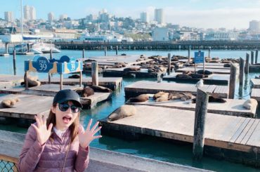 「Sea Lionがたくさんいるから見に行こう！」﻿
…と言われ、その予想を遥かに上回る"たくさん"に度肝を抜かれました((((；ﾟДﾟ)))))))﻿
﻿
ス...