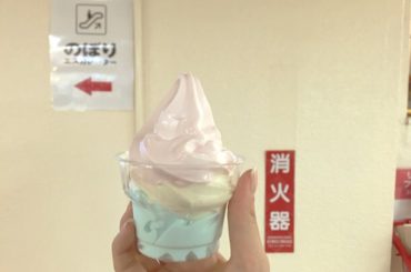 高校生の頃よく食べてたアイスクリーム
青春の味です懐かしい！！...