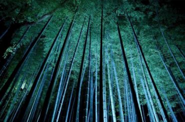 #写真好きの人と繋がりたい #写真好きと繋がりたい#ファインダー越しの私の世界#単焦点#単焦点レンズ#一眼...