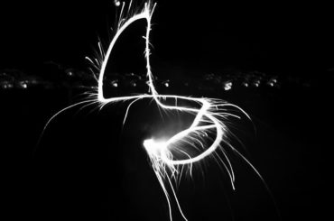 恐ろしいもの
憶測で他人を知ってるかのように語ること
言葉が軽くなっていること
思慮深くなろうとしないこと
人を馬鹿にすることがかっこいいと思っていること
過ち...