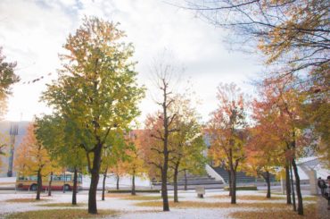 雪と紅葉と、ゆっくりゆっくり晴れた空
#eos500d #canon #sfc...