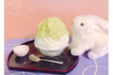 今日はすごく寒いけど、何だかかき氷が食べたい気分
#かき氷 
#雪うさぎ
#ずんだクリームチーズ...