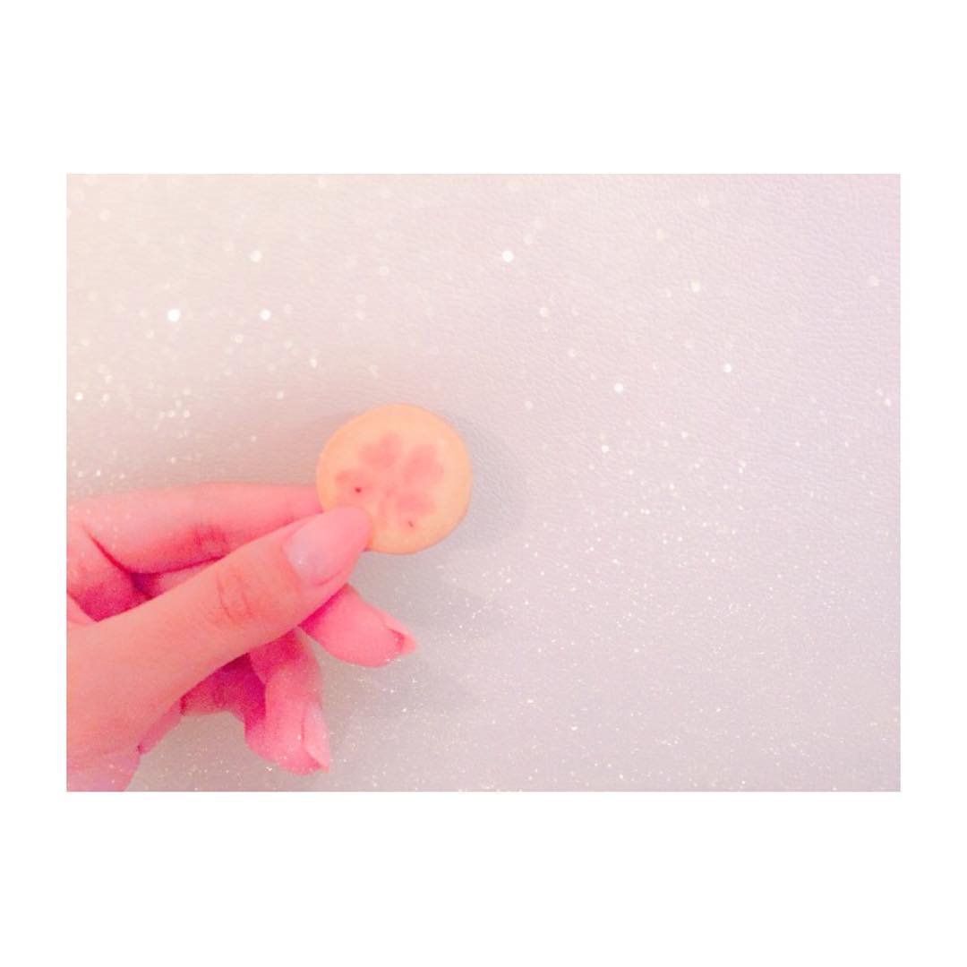 藤田奈那 みんなのもとに幸せが訪れますように Cookie Pink Clover Happy Moe Zine 藤田奈那 みんなのもとに幸せが訪れますように Cookie Pink Clover Happy Moe Zine