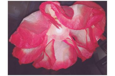 ＊
かわいいライトを発見
#flower #light #cute # # #...