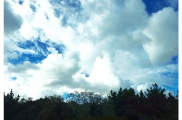 雨上がりの空、綺麗すぎて写真撮っちゃった
#sky...
