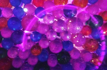 ご馳走みたいな1日だった。...