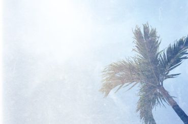 初沖縄。
夢の世界が広がっていた。
#okinawa 
#campaign #thankyou 
#akb総選挙2017...