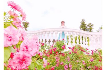 目の前は一面バラ
*
*
#rose
#バラ園
#京成バラ園...