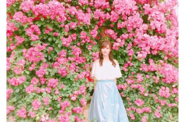 pink×rose
最高の組み合わせ
*
#美女と野獣 を見てから1番好きな花は、バラ︎
*
#rose
#pink
#バラ園 #京成バラ園...