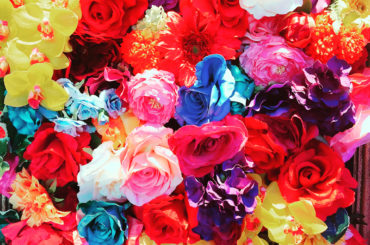 .

#flowers #ラグーナテンボス ....