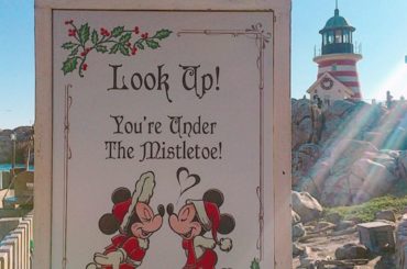 .
これは思いがけず素敵に撮れた1枚。
可愛すぎる
.
#ディズニーシー #disney 
#xmas...