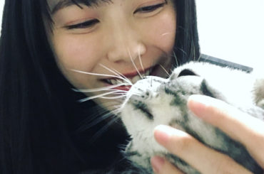 お家で癒されてます。
本当に癒し系なのですが、
気をつけてないと、急にどーんと出てきます。

#猫 #cat #ビス #スコティッシュ #スコティッシュフォール...