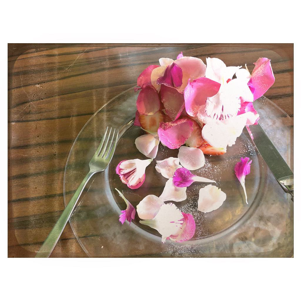 福岡聖菜 華やかに 鮮やかな花の中には ふわふわのシフォンケーキが Virdweak 名古屋カフェ Moe Zine