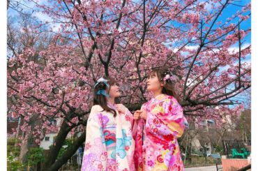 ㅤㅤㅤ
#河津桜 綺麗だったな〜
早く満開の桜が見たいね！
これ お気に入り写真
#浅草#着物#さわだ屋#さわだや#日本#和#桜...