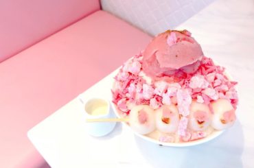 .
.
韓国のかき氷って何でこんなに美味しいんだろう
.
.
#桜 #かき氷 #桜あんコッビン 
#KKOTBING #カフェ巡り #韓国...