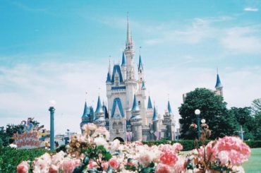 ㅤㅤㅤ
film現像してきた
薔薇越しのシンデレラ城
ココはナイスなスポットでした
#film#あみのかめら#tds#35周年...