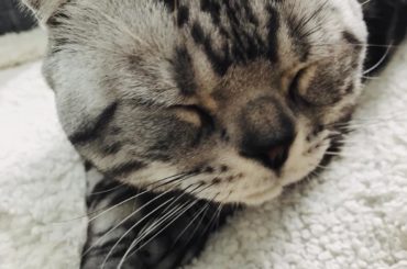 うー
史上最強に(>_...