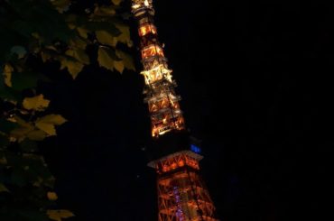 .
素敵に撮れた気がする
でも、欲を言えば
てっぺんまで入れたかった
.
I love this photo
The tower was illuminate...