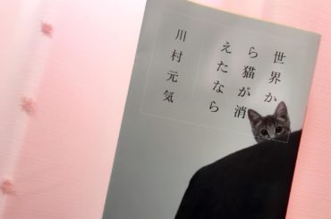 好きな小説︎...