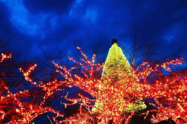 #よみうりランド
#ジュエルミネーション...