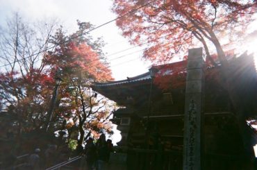 話しながら歩く
山道は楽しかったなぁ。。
*
*
#高尾山 #filmcamera
#フィルムカメラに恋してる...