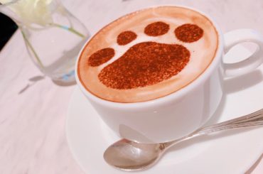 ︎︎
ラテアートが にくきゅうだったよ
.
.
おんりーわんっ
な可愛さですね〜！(言いたいだけ)
.
.
飲むのもったいなかったなぁ(*´˘`*)
.
#ca...