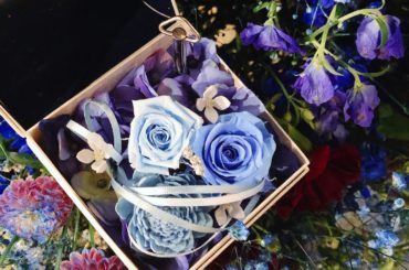 生誕祭
*
*
ようやく18歳なんだなぁと
実感が湧いてきたこの頃。
笑顔溢れるしあわせな年にしよう
*
*
#オルゴール #星に願いを...